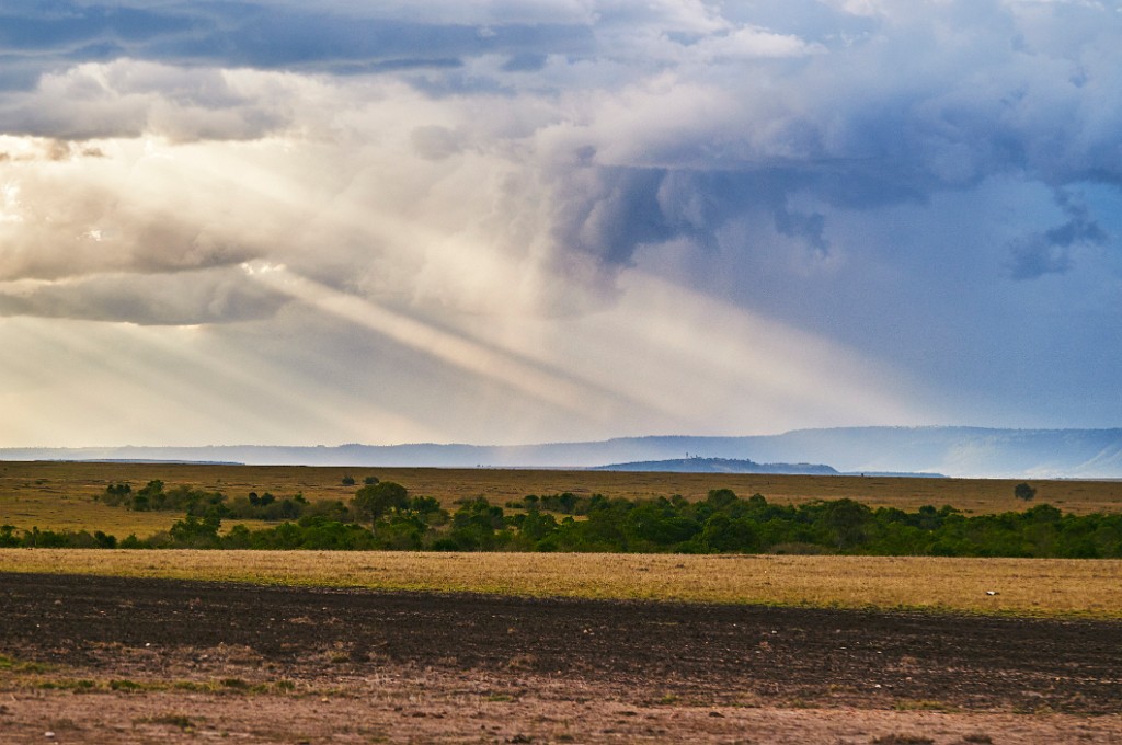 Evening shower on the Maasai Mara